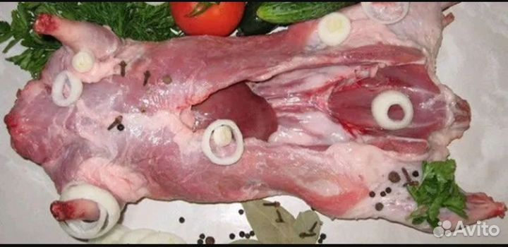Мясо Нутрии