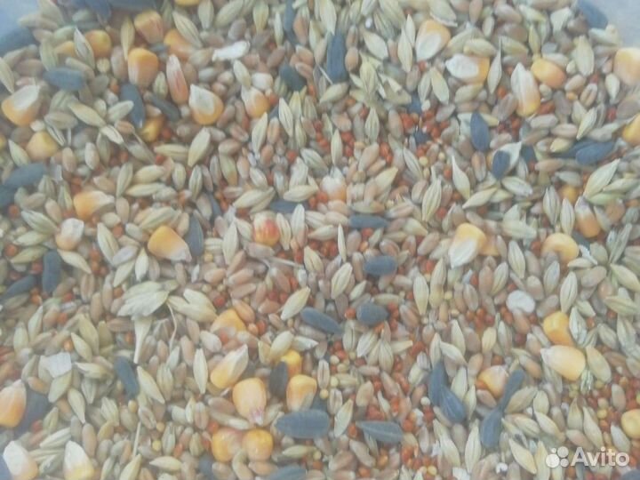 Зерносмесь дробленая для С/Х животных С/Х Птиц