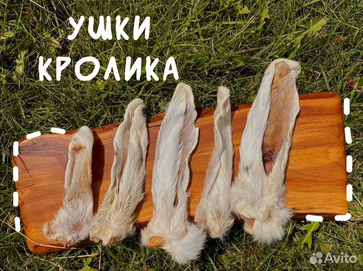 Ушки кролика / лакомства для собак