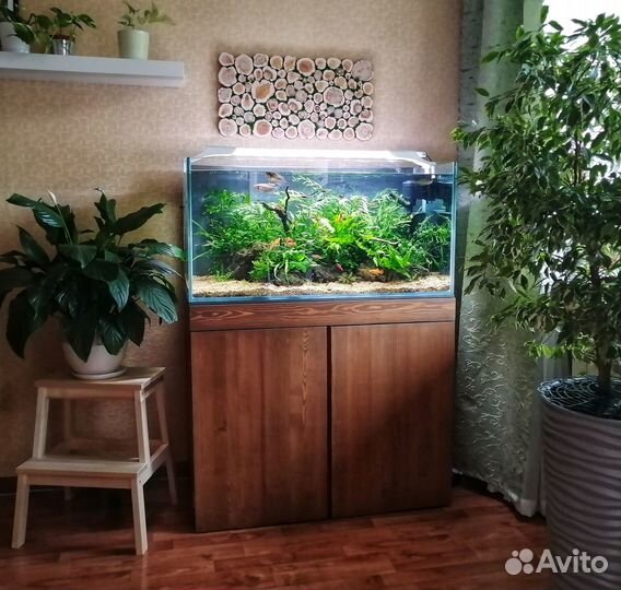 Аквариум действующий