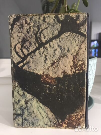 Гектор мало без семьи