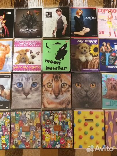 Тетради общие новые 48 листов