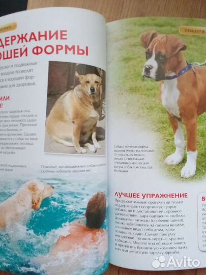 Энциклопедия