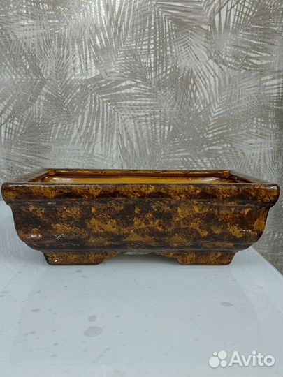 Горшок для бонсай