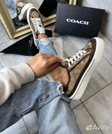 Кеды coach