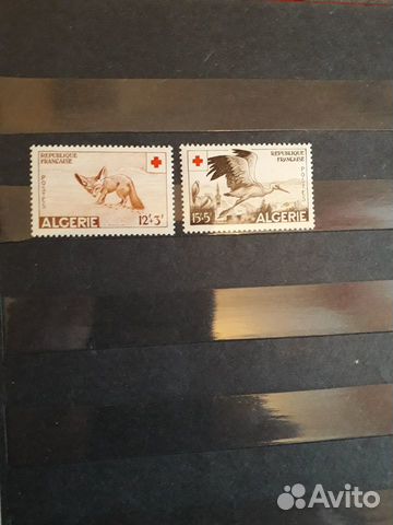 Старый Алжир