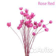 Работа для студентов в цветочном магазине