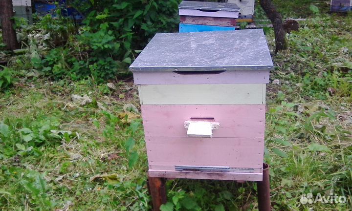 Ульи для пчёл б/у