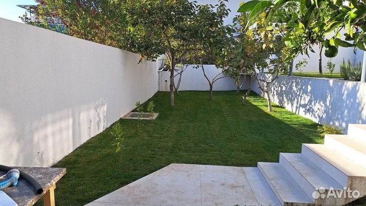 Рулонный газон с укладкой. Доставка