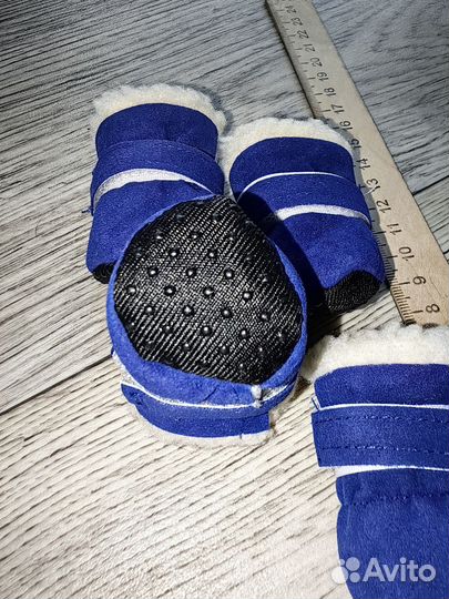 Ботинки для маленькой собачки