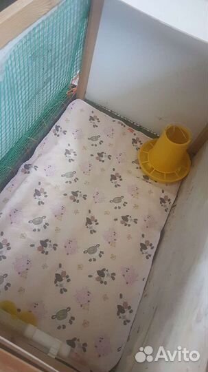 Брудер для цыплят кур