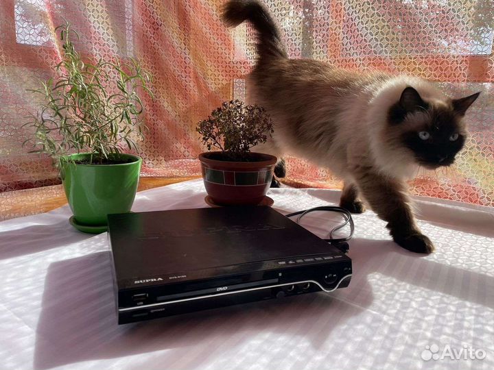 Dvd проигрыватель Supra