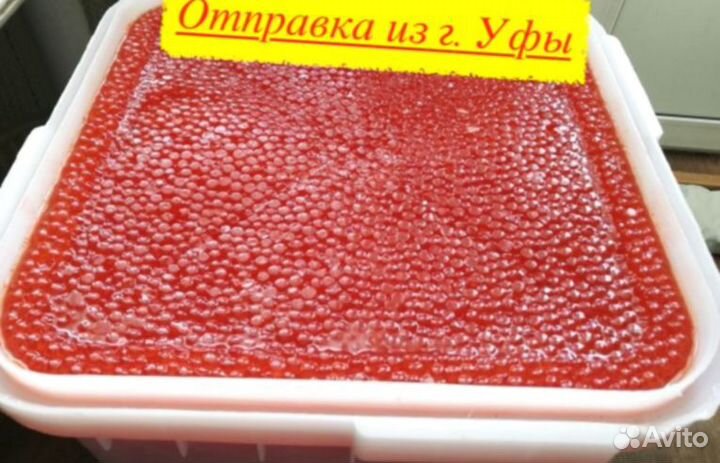 Красная икра