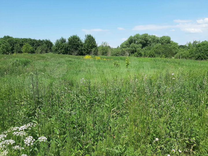 Участок 19 сот. (ИЖС)