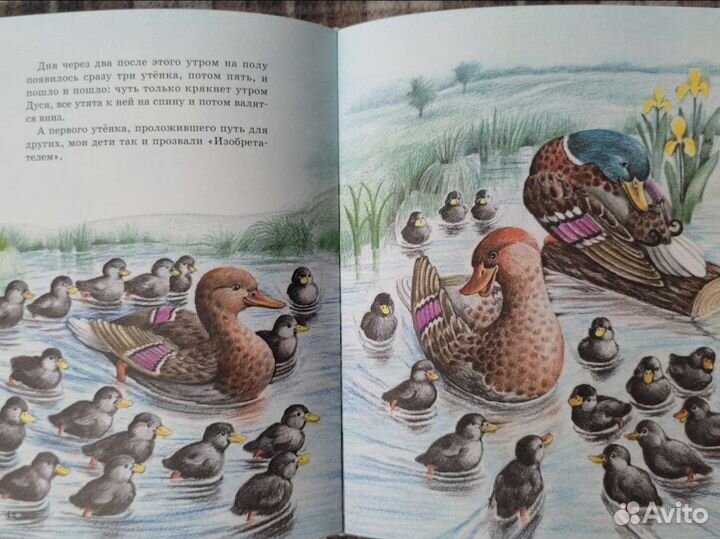 Пришвин Рассказы о животных