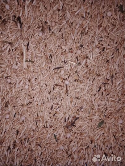 Зерносмесь