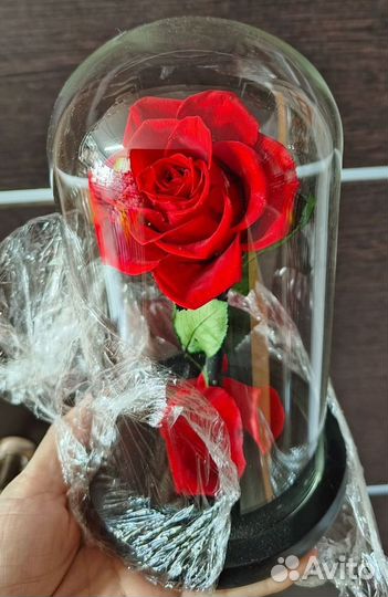 Вечная роза в колбе