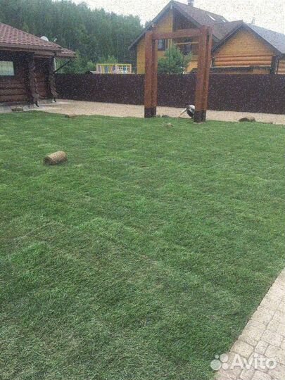 Рулонные газоны