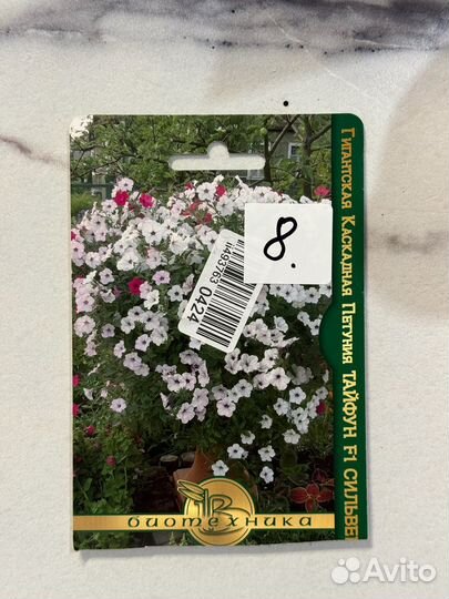 Рассада петунии, петуния каскадная сильвер тайфун