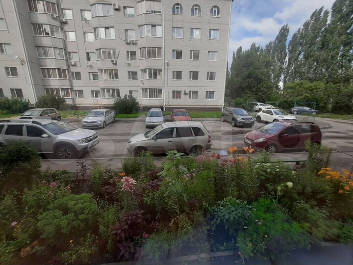 1-к. квартира, 46,1 м², 1/5 эт.