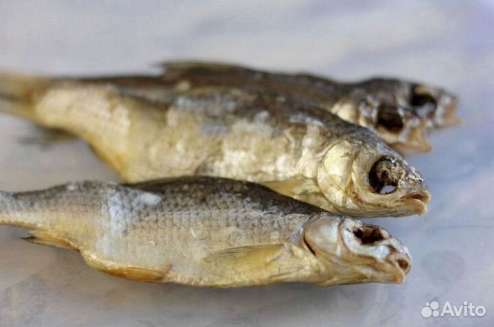 Астраханская вяленая вобла