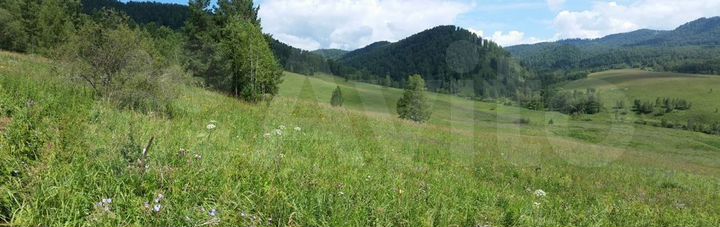 Участок 13,9 га (СНТ, ДНП)