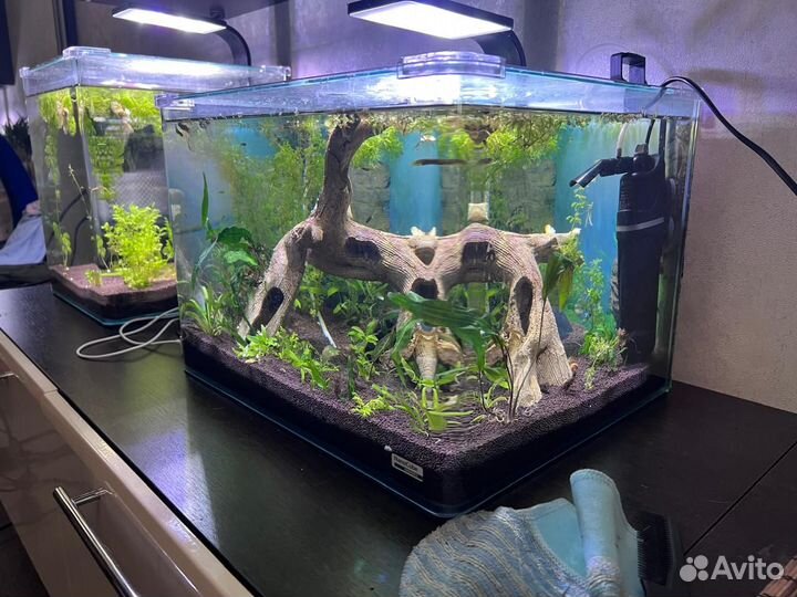 Продам аквариум Dennerle Nano Scapers Tank 35 л