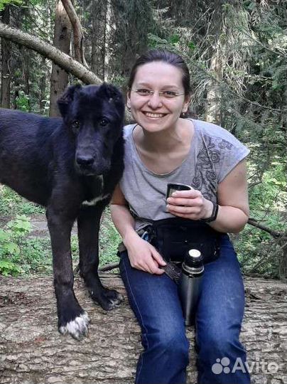 Кинолог зоопсихолог