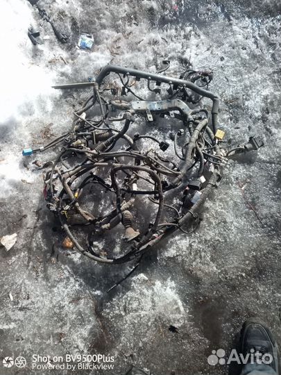 Chery Tiggo 5 проводка двигателя