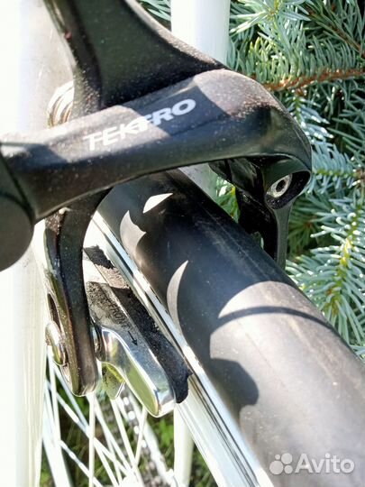 Стильный синглспид Zulu