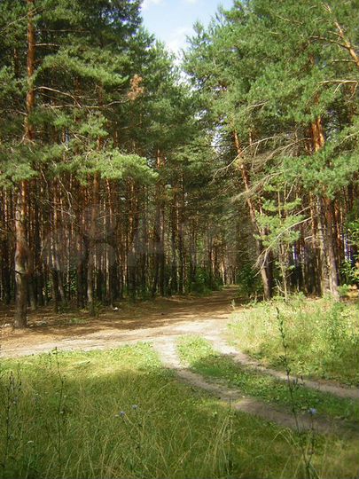 Участок 1,16 га (ИЖС)