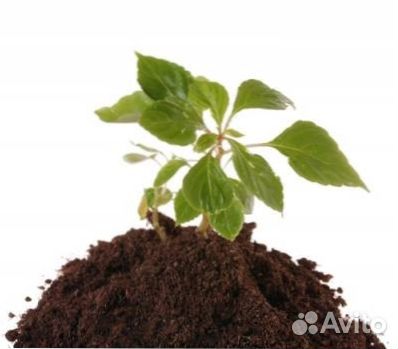 Грунт Растительный