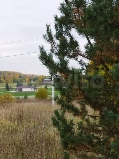 Участок 1,16 га (ИЖС)