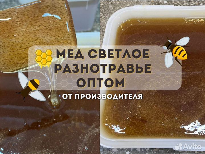 Свежий сбор. Мед светлое разнотравье, оптом