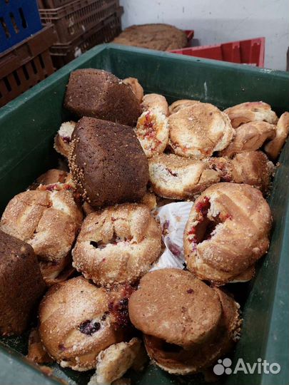 Хлеб на корм животным