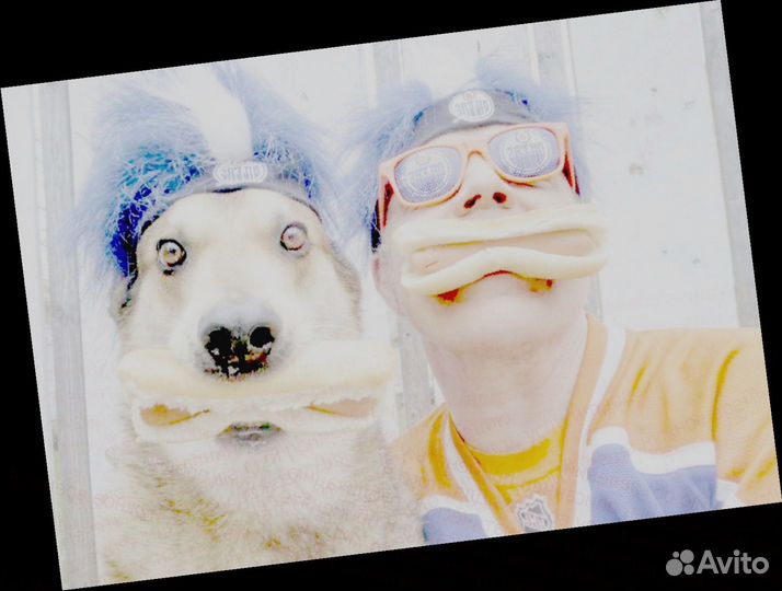 Сборщик заказов табач.изделия Вахта График 30/60/9