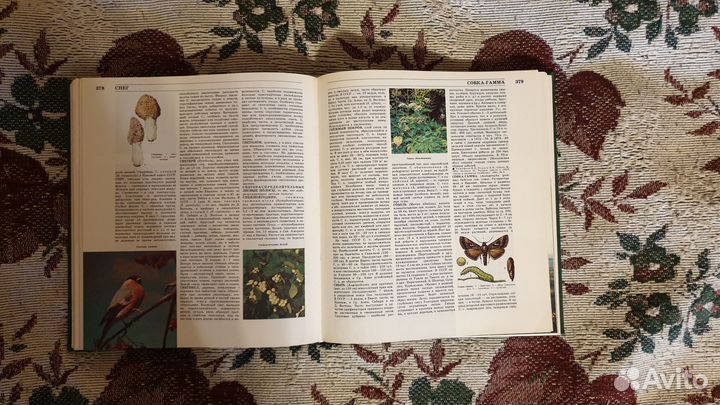 Лесная энциклопедия в 2-х томах