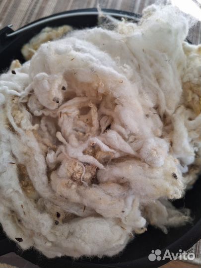 Шерсть дворняжки