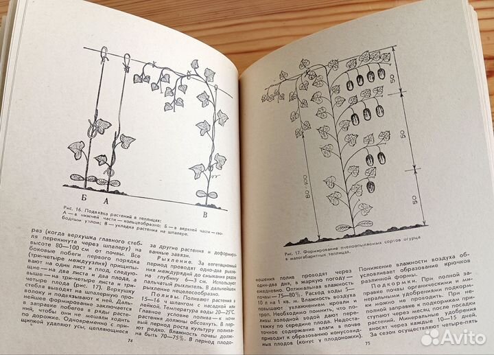 Книги сад и огород