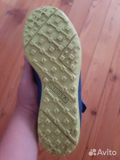 Сороконожки