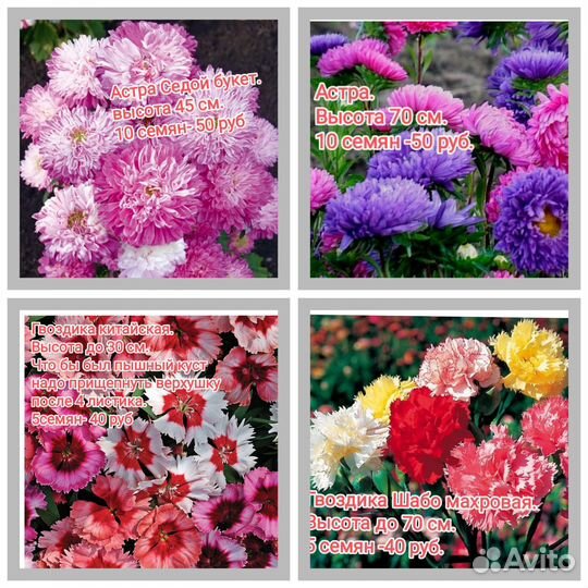 Семена цветов, арбуза