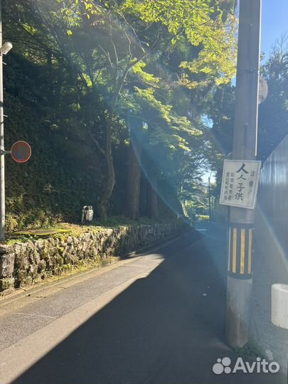 Репетитор японского языка