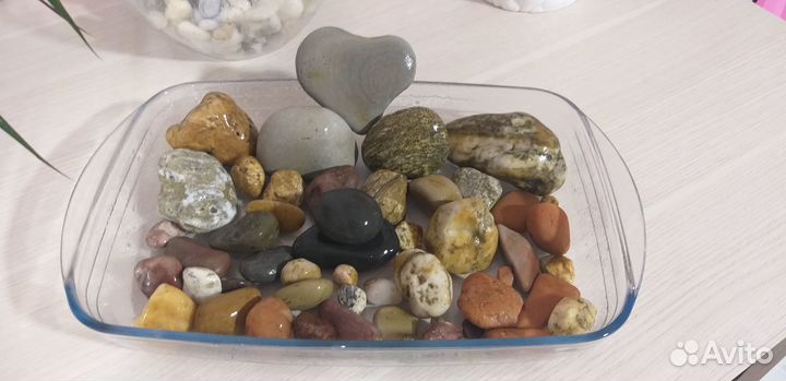 Коллекция камушков морских