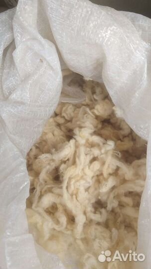 Шерсть овечья