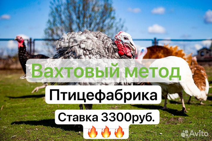 Разнорабочий вахта г.Шахты