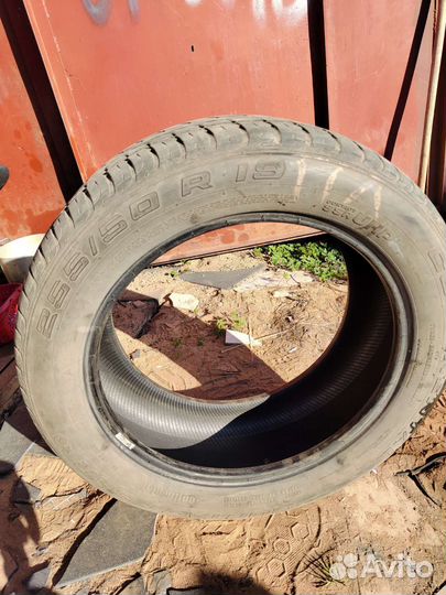 Continental ContiSportContact 5 SUV 255/50 R19