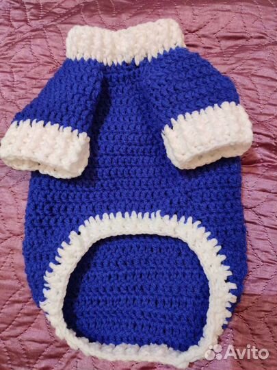 Одежда для питомца