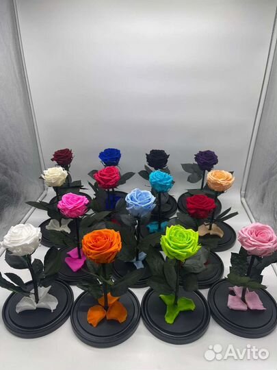 Роза в колбе(живёт 5 лет)акция комплект 8 марта