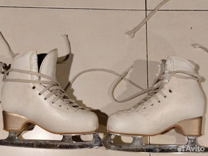 Фигурные коньки edea 215 лезвия mark IV