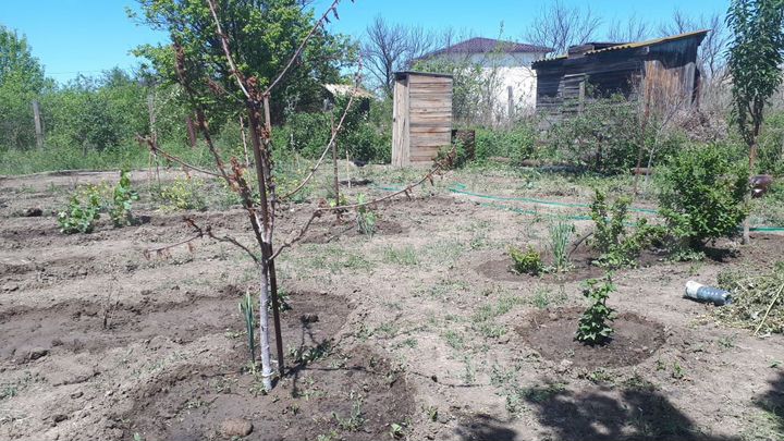 Участок 6 сот. (ИЖС)